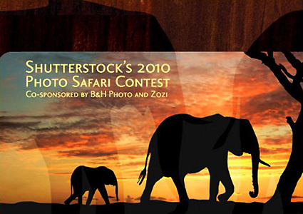 Shutterstock Safari Contest